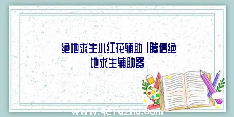 「绝地求生小红花辅助」|腾信绝地求生辅助器